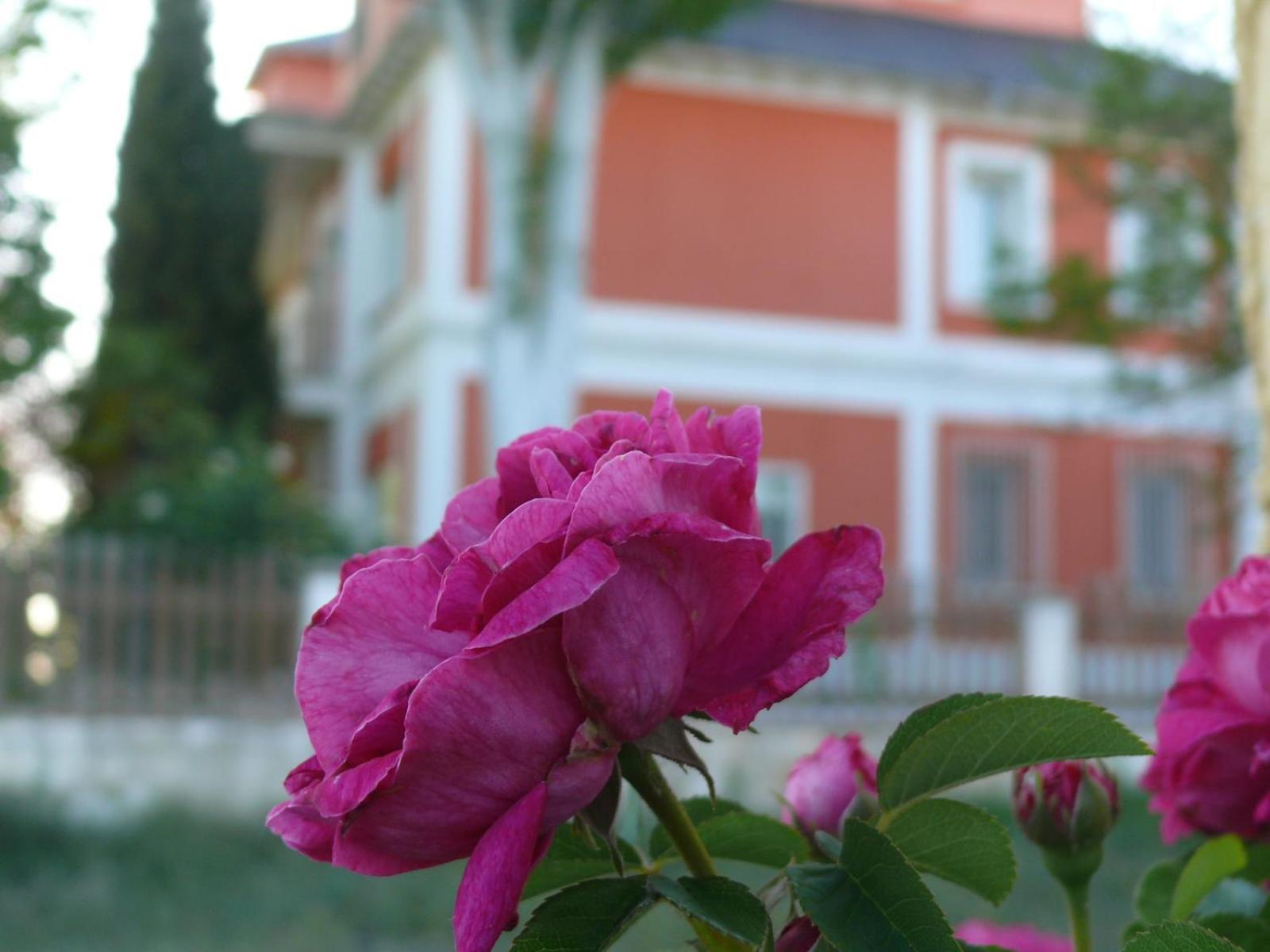 La Casa Grande De Gormaz Villa Quintanas de Gormaz Екстериор снимка