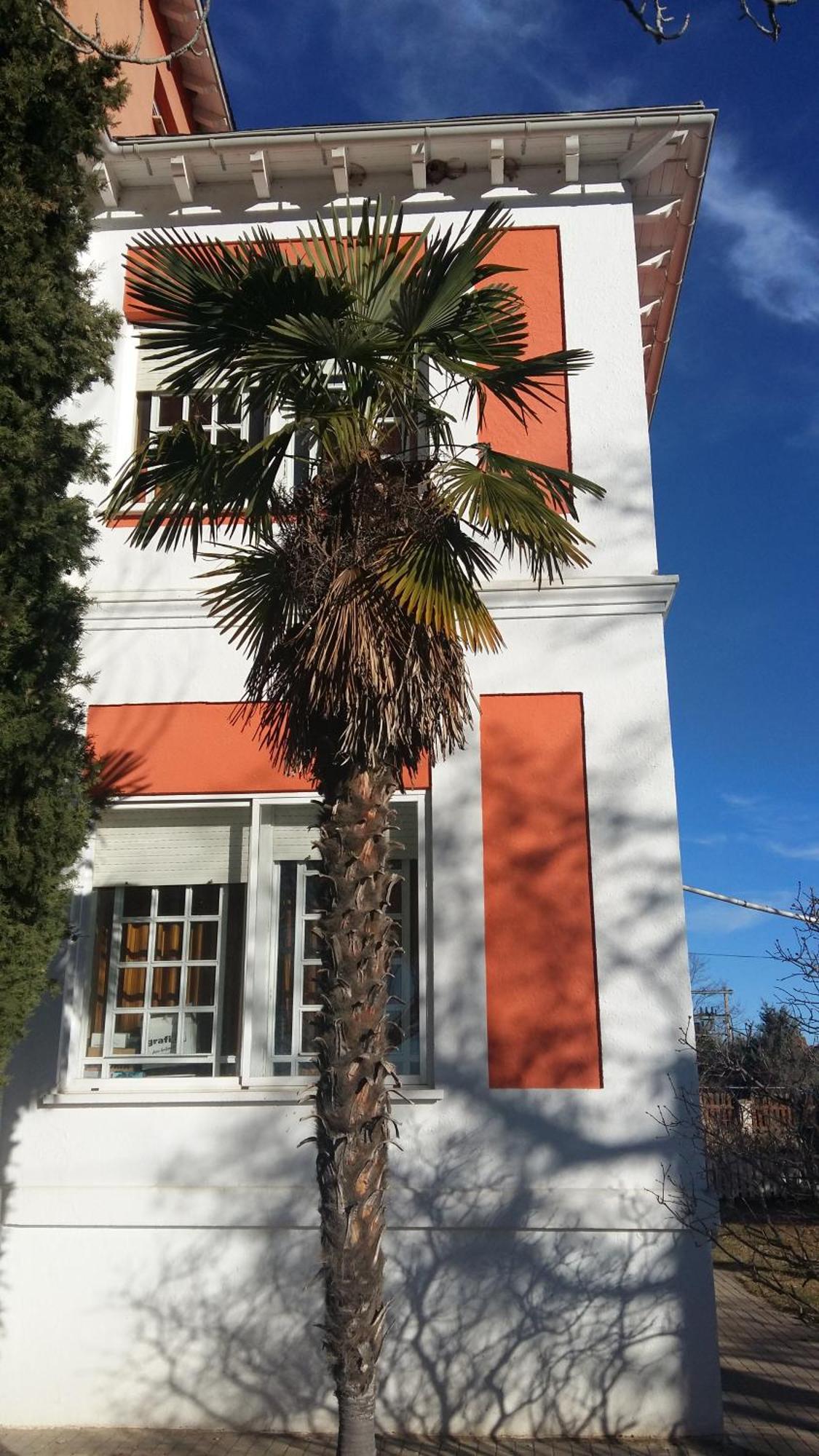 La Casa Grande De Gormaz Villa Quintanas de Gormaz Екстериор снимка